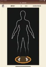 レイドの撮影ガイド画面（全身シルエット）